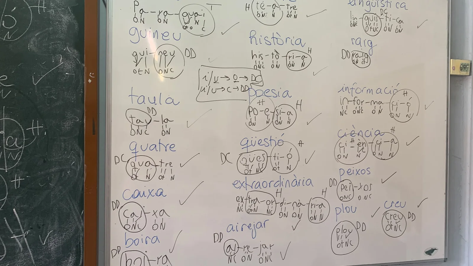 El curs comença amb la teoria de la síl·laba a la pissarra (3)