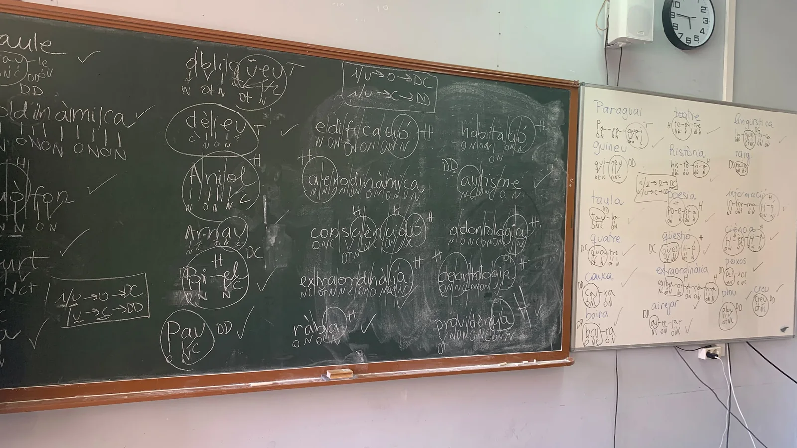 El curs comença amb la teoria de la síl·laba a la pissarra (4)
