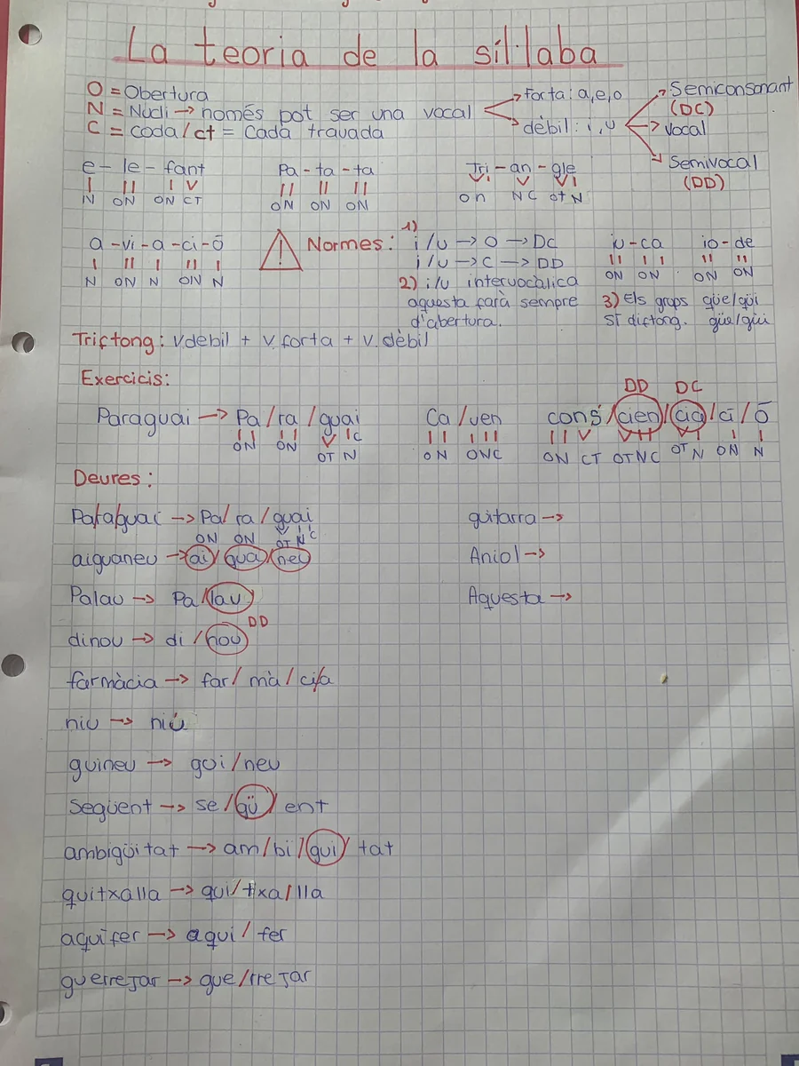Un altre full amb la teoria, els exercicis i els deures: Paraguai, aiguaneu, palau, dinou, farmàcia, niu, guineu…
